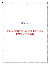 Tiểu luận Phân tích STB – Quyết định nên đầu tư năm 2012
