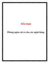 Tiểu luận Phòng ngừa rủi ro cho các ngân hàng