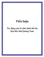 Tiểu luận Tác động của tổ chức lãnh thổ du lịch đến tỉnh Quảng Nam