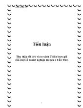 Tiểu luận Thu thập tài liệu và so sánh Chiến lược giá của một số doanh nghiệp du lịch ở Cần Thơ