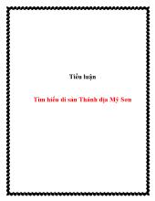 Tiểu luận Tìm hiểu di sản Thánh địa Mỹ Sơn