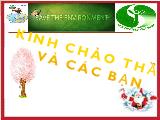 Bài thuyết trình về môi trường