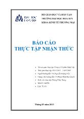 Báo cáo Thực tập nhận thức tại Công ty Cổ phần Nhật Việt