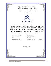 Báo cáo Thực tập nhận thức tại công ty TNHH MTV khoáng sản Hoàng Anh GL – Kon Tum