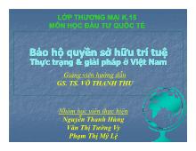 Bảo hộ quyền sở hữu trí tuệ - Thực trạng và giải pháp ở Việt Nam