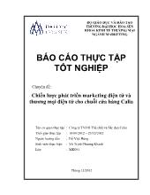 Chuyên đề Chiến lược phát triển marketing điện tử và thương mại điện tử cho chuỗi cửa hàng Calia