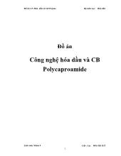 Đồ án Công nghệ hóa dầu và cân bằng Polycaproamide