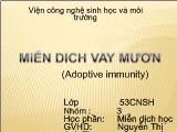 Miễn dịch vay mượn