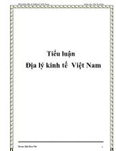 Tiểu luận Địa lý kinh tế Việt Nam