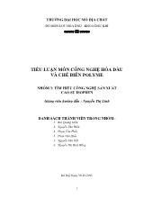 Tiểu luận Môn công nghệ hóa dầu và chế biến polyme
