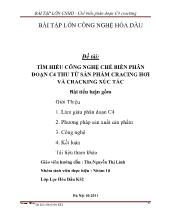 Tìm hiểu công nghệ chế biến phân đoạn C4 thu từ sản phẩm cracing hơi và cracking xúc tác