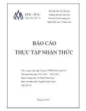 Báo cáo Thực tập nhận thức tại Công ty TNHH Kiểm toán AS