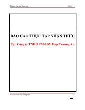 Báo cáo Thực tập nhận thức tại công ty TNHH thương mại và dịch vụ hơp Trường An
