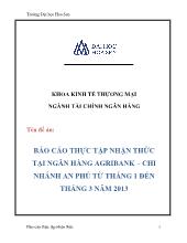 Báo cáo Thực tập nhận thức tại ngân hàng Agribank – Chi nhánh An Phú từ tháng 1 đến tháng 3 năm 2013