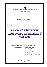 Chuyên đề Bảo hộ sở hữu trí tuệ thực trạng và giải pháp ở Việt Nam
