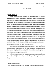 Chuyên đề Thực trạng kế toán tiền lương và các khoản trích theo lương tại công ty TNHH May Kim Anh