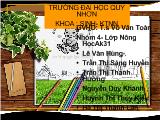 Đề tài Các giống cá sấu trên thế giới