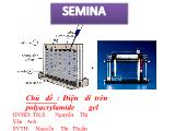 Đề tài Điện di trên polyacrylamide gel