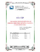 Đề tài Đo lường thái độ đối với các thương hiệu theo mô hình FISHBEIN và mô hình TORA