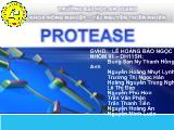 Đề tài Protease