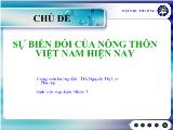 Đề tài Sự biến đổi của nông thôn Việt Nam hiện nay