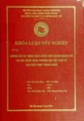 Khóa luận Những rủi ro trong hoạt động kinh doanh ngoại hối tại các ngân hàng thương mại Việt Nam và các biện pháp phòng ngừa