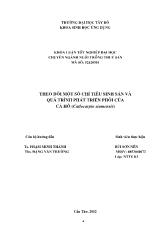 Khóa luận Theo dõi một số chỉ tiêu sinh sản và quá trình phát triển phôi của cá hô (Catlocarpio siamensis)
