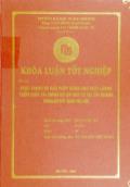 Khóa luận Thực trạng và giải pháp nâng cao chất lượng thẩm định tài chính dự án đầu tư tại chi nhánh ngân hàng nông nghiệp và phát triển nông thôn Nam Hà Nội