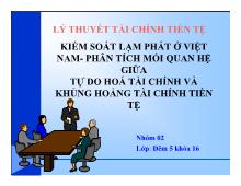 Kiểm soát lạm phát ở Việt Nam - Phân tích mối quan hệ giữa tự do hóa tài chính và khủng hoảng tài chính tiền tệ