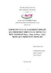 Luận văn Ảnh hưởng của các loại kháng sinh lên quá trình phát triển của ấu trùng cua biển giai đoạn (Zoea1-Zoea5 và Zoea5-Cua1) trong quy trình nước trong hở