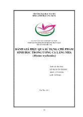 Luận văn Đánh giá hiệu quả sử dụng chế phẩm sinh học trong ương cá Lăng Nha (Mystus wyckioides)