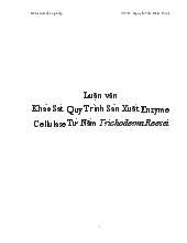 Luận văn Khảo Sát Quy Trình Sản Xuất Enzyme Cellulase Từ Nấm Trichoderma Reesei