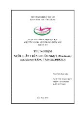 Luận văn Thử nghiệm nuôi luân trùng nước ngọt (Brachionus calyciflorus) bằng tảo Chlorella