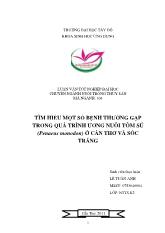 Luận văn Tìm hiểu một số bệnh thường gặp trong quá trình ương nuôi tôm sú (Penaeus monodon) ở Cần Thơ và Sóc Trăng