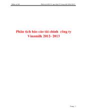 Phân tích báo cáo tài chính công ty VinaMilk 2012-2013