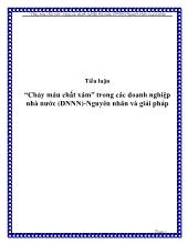 Tiểu luận “Chảy máu chất xám” trong các doanh nghiệp nhà nước (DNNN)-Nguyên nhân và giải pháp