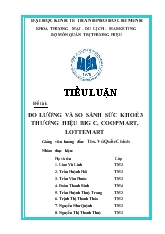 Tiểu luận Đo lường và so sánh sức khỏe 3 thương hiệu Big C, CoopMart, Lottemart