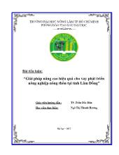 Tiểu luận Giải pháp nâng cao hiệu quả cho vay phát triển nông nghiệp nông thôn tại tỉnh Lâm Đồng