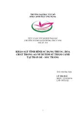 Tiểu luận Khảo sát tình hình sử dụng thuốc, hóa chất trong ao nuôi tôm sú thâm canh tại Trần Đề - Sóc Trăng