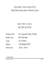 Tiểu luận KĨ THUẬT PCR