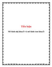 Tiểu luận Mô hình nhị khuyết và mô hình tam khuyết