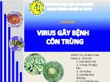 Virus gây bệnh côn trùng