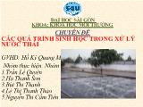 Chuyên đề Các quá trình sinh học trong xử lý nước thải