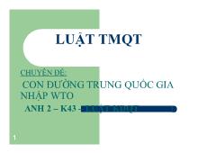 Chuyên đề Con đường Trung Quốc gia nhập WTO