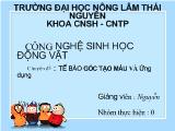 Chuyên đề Tế bào gốc tạo máu và ứng dụng