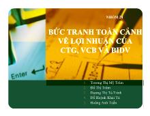 Đề tài Bức tranh toàn cảnh về lợi nhuận của CTG, VCB và BIDV
