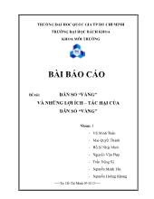 Đề tài DÂN SỐ “VÀNG” VÀ NHỮNG LỢI ÍCH – TÁC HẠI CỦA DÂN SỐ “VÀNG”