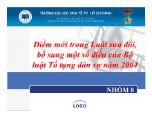 Đề tài Điểm mới trong Luật sửa đổi, bổ sung một số điều của Bộ luật Tố tụng dân sự năm 2004
