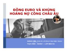 Đề tài Đồng Euro và khủng hoảng nợ công châu Âu