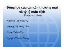 Đề tài Động lực của cán cân thương mại và tỷ lệ mậu dịch